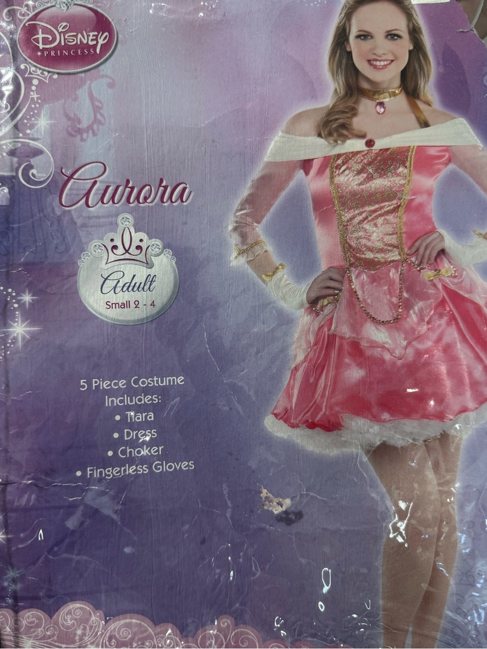 Aurora Adult Costume